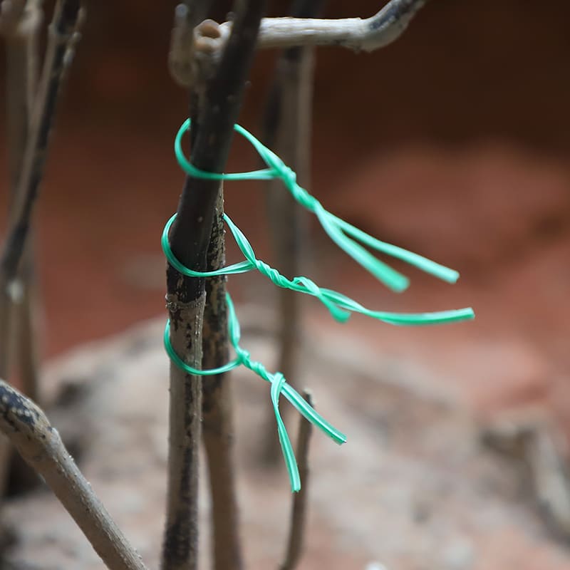 Garden Twine & Twist Ties