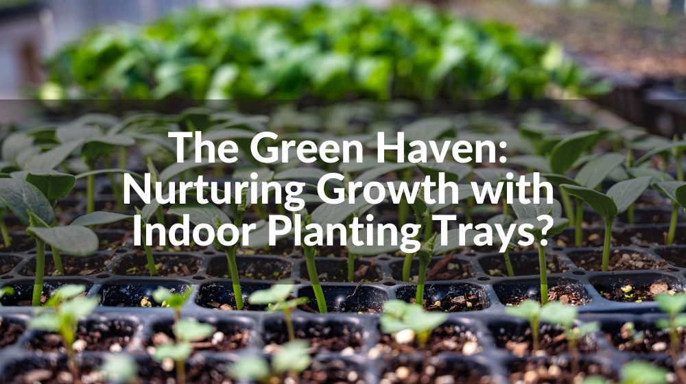 How Do Indoor Planting Trays Transform Your Green Haven?