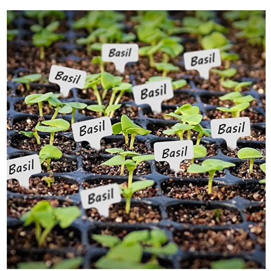 21 Cell 3.9-Inch Deep Seed Tray