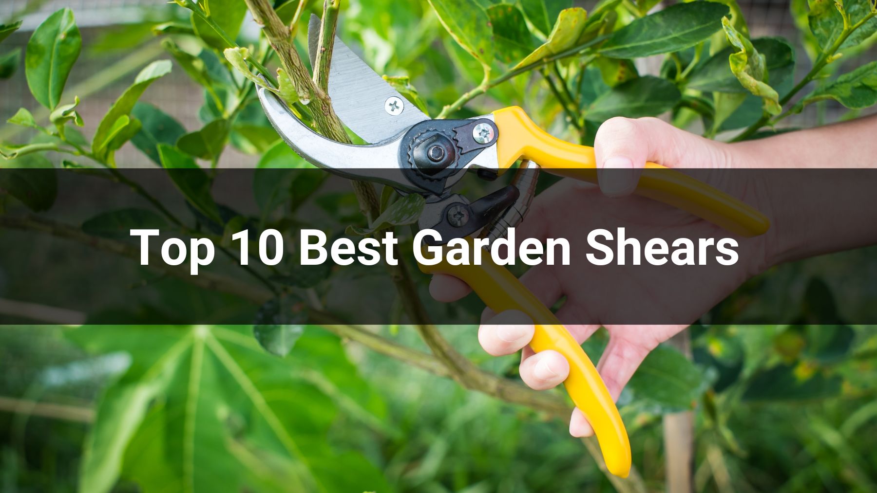  Top 10 Best Garden Shears for 2026