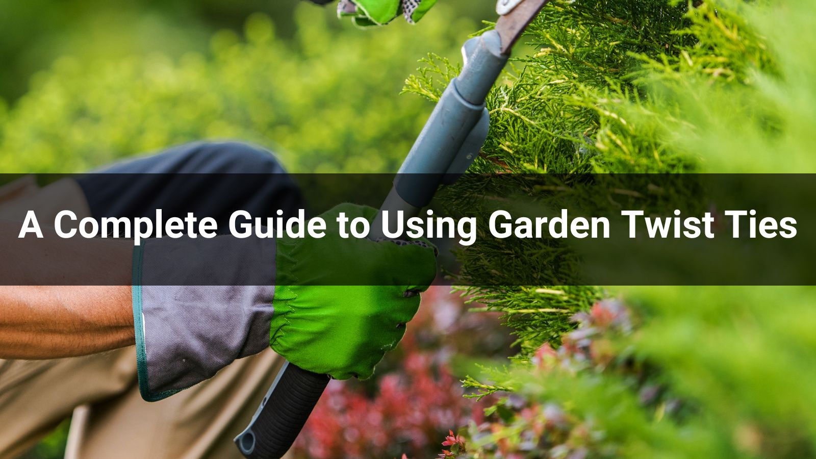 A Complete Guide to Using Garden Twist Ties