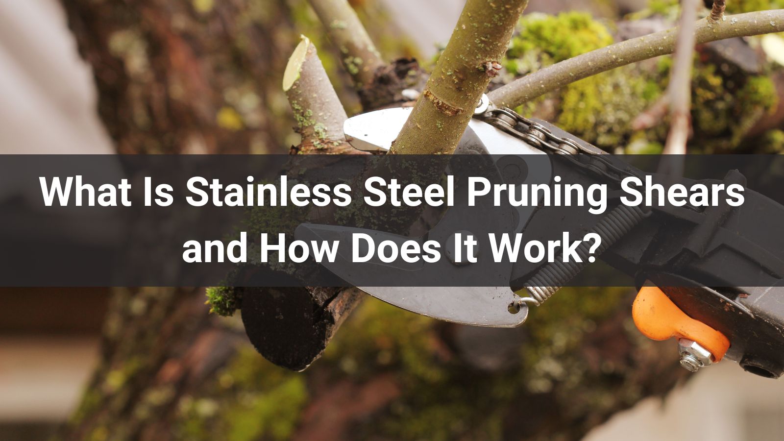 What Is Stainless Steel Pruning Shears and How Does It Work?