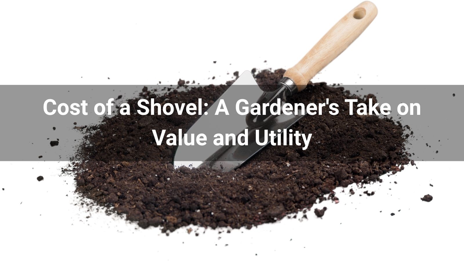 Cost of a Shovel: A Gardener's Take on Value and Utility