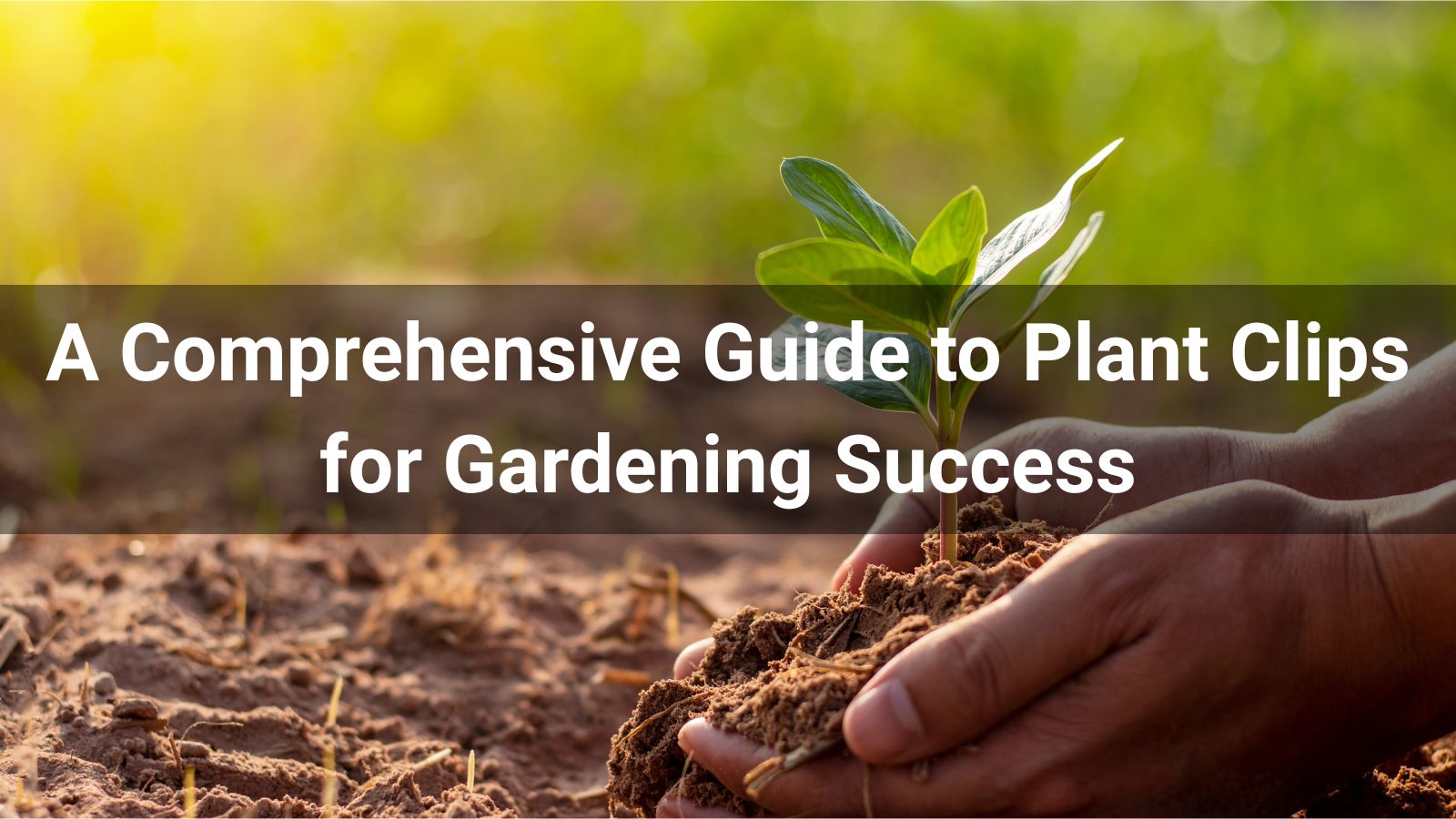 A Comprehensive Guide to Plant Clips for Gardening Success