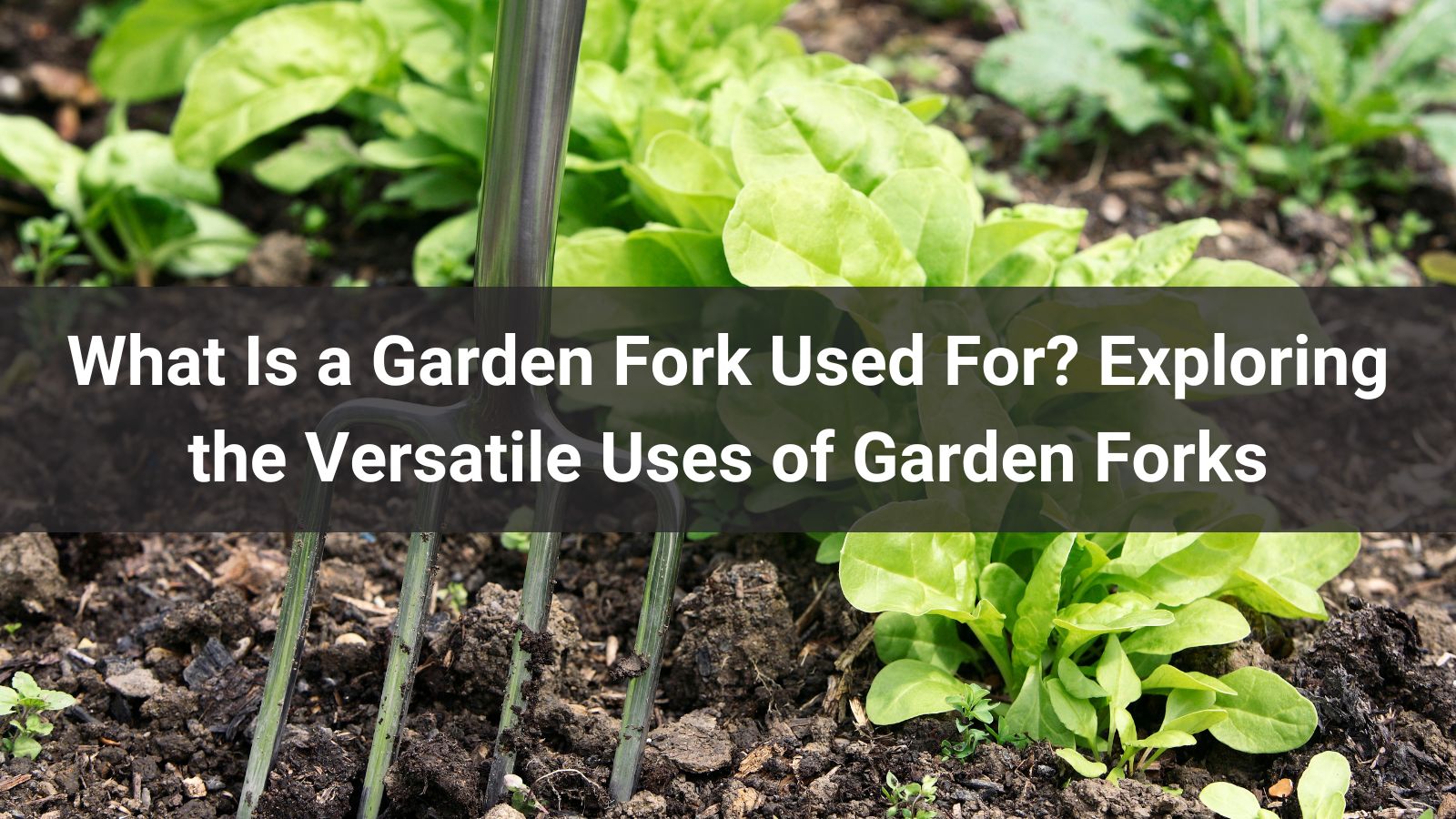 What Is a Garden Fork Used For? Exploring the Versatile Uses of Garden Forks