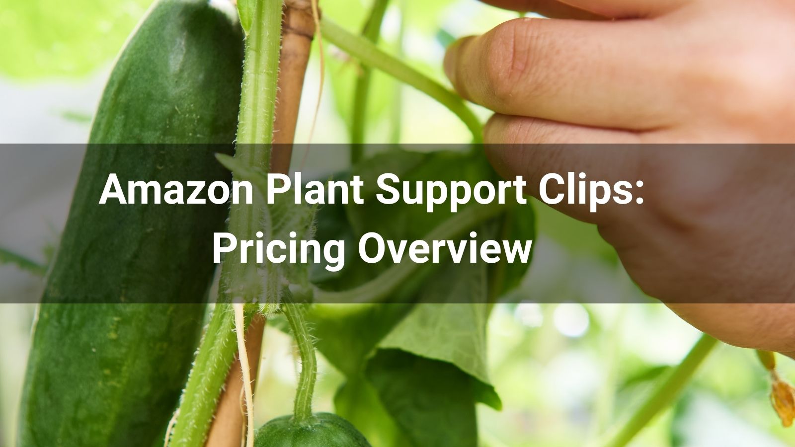 Amazon Plant Support Clips: Pricing Overview