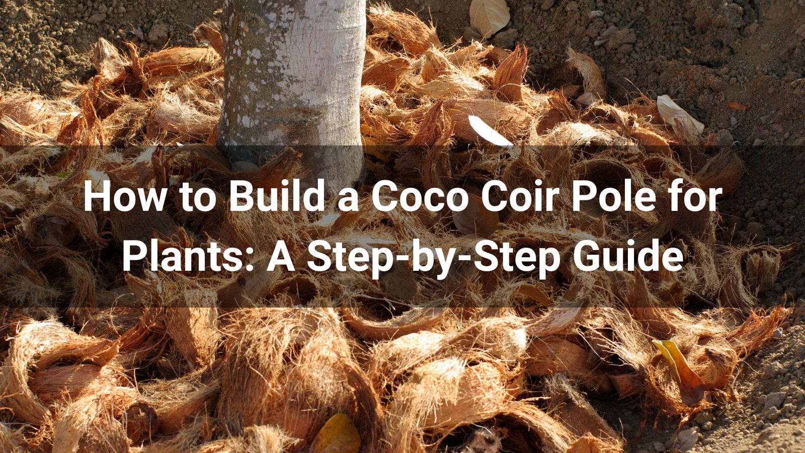 How to Build a Coco Coir Pole for Plants: A Step-by-Step Guide