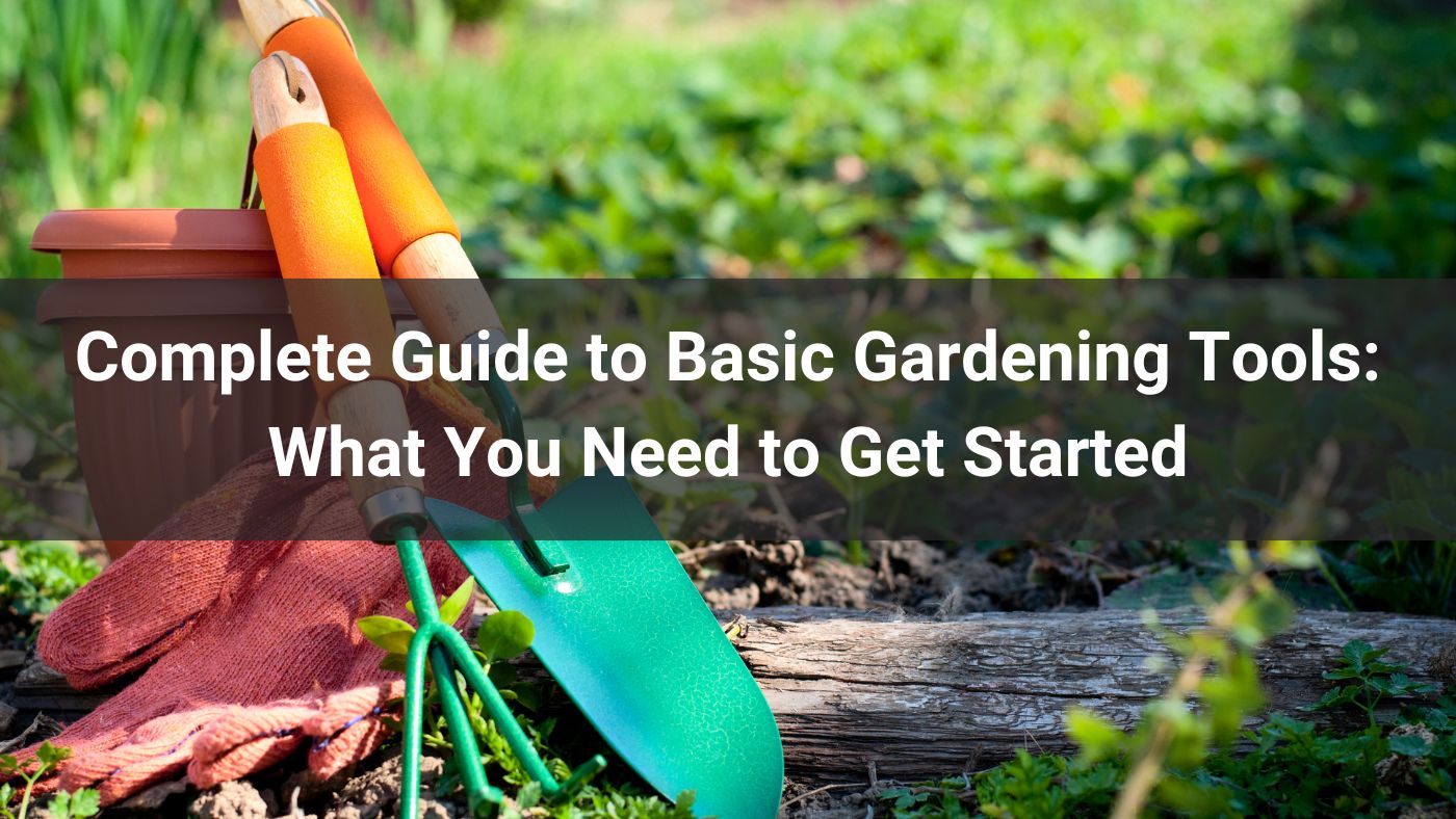 Complete Guide to Basic Gardening Tools: What You Need to Get Started