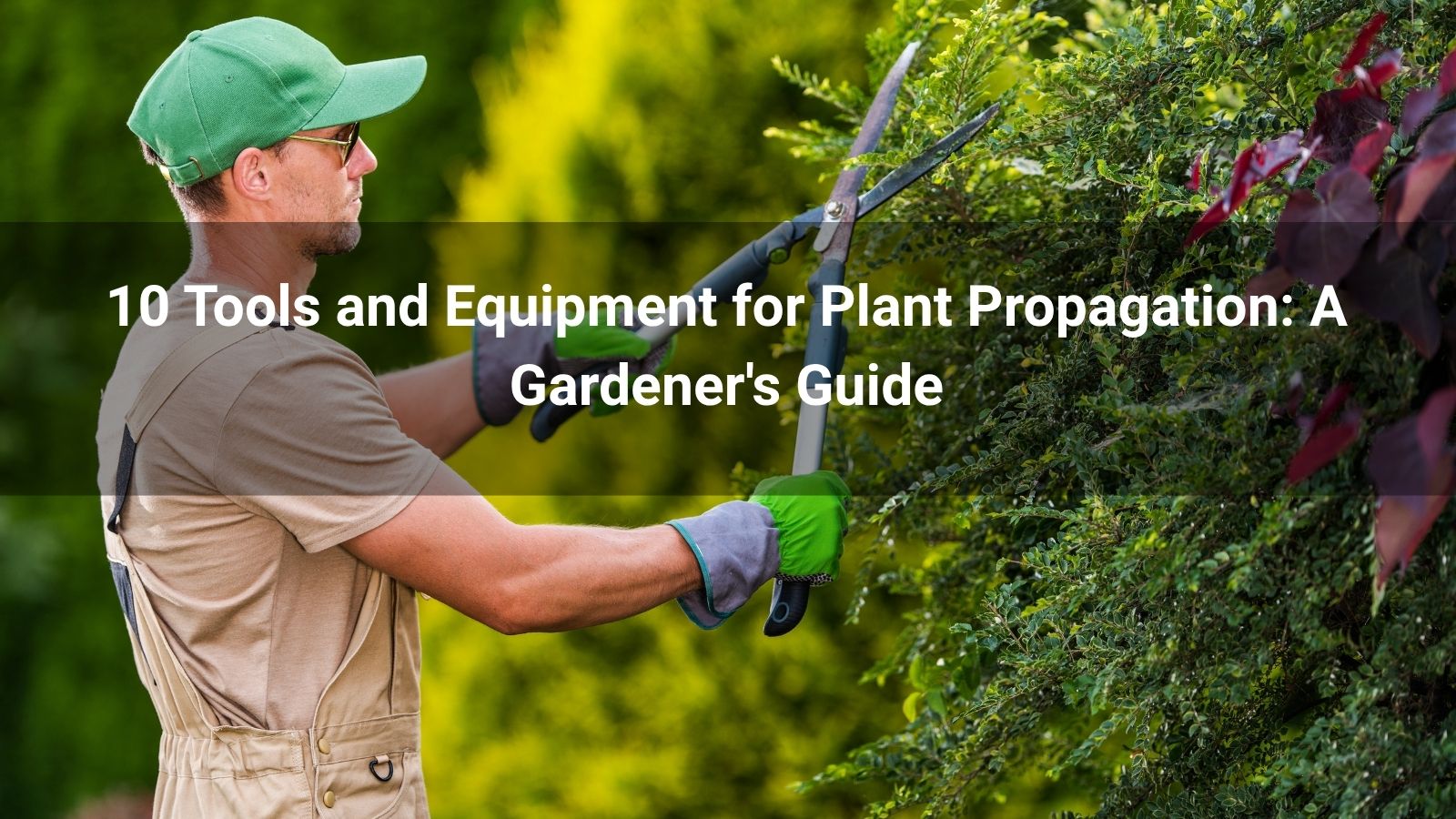 10 Tools and Equipment for Plant Propagation: A Gardener's Guide