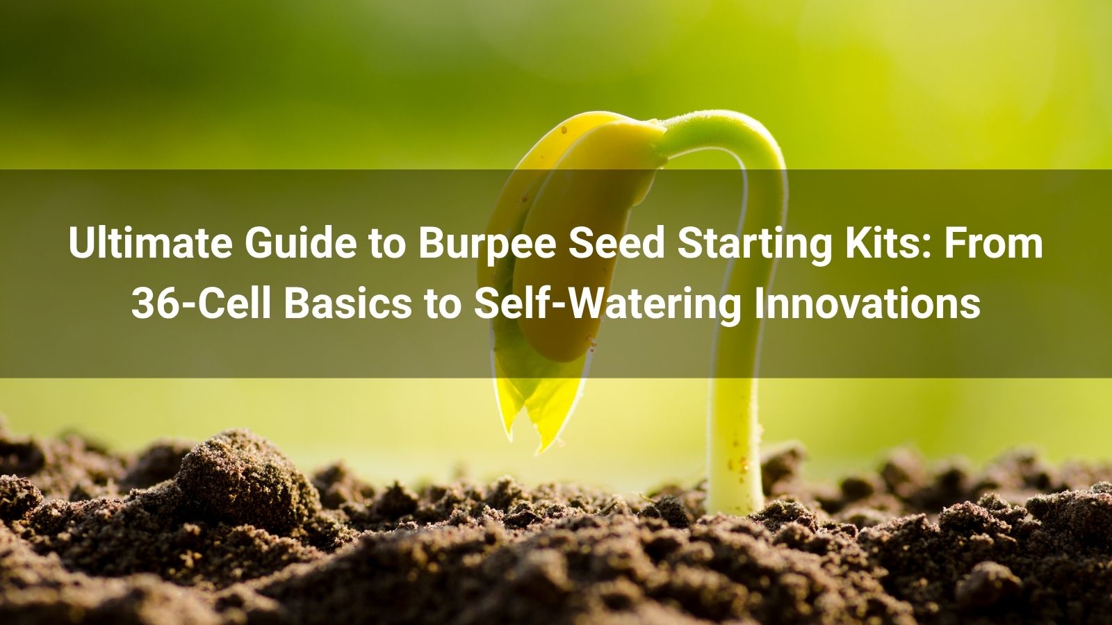 Ultimate Guide to Burpee Seed Starting Kits: From 36-Cell Basics to Self-Watering Innovations