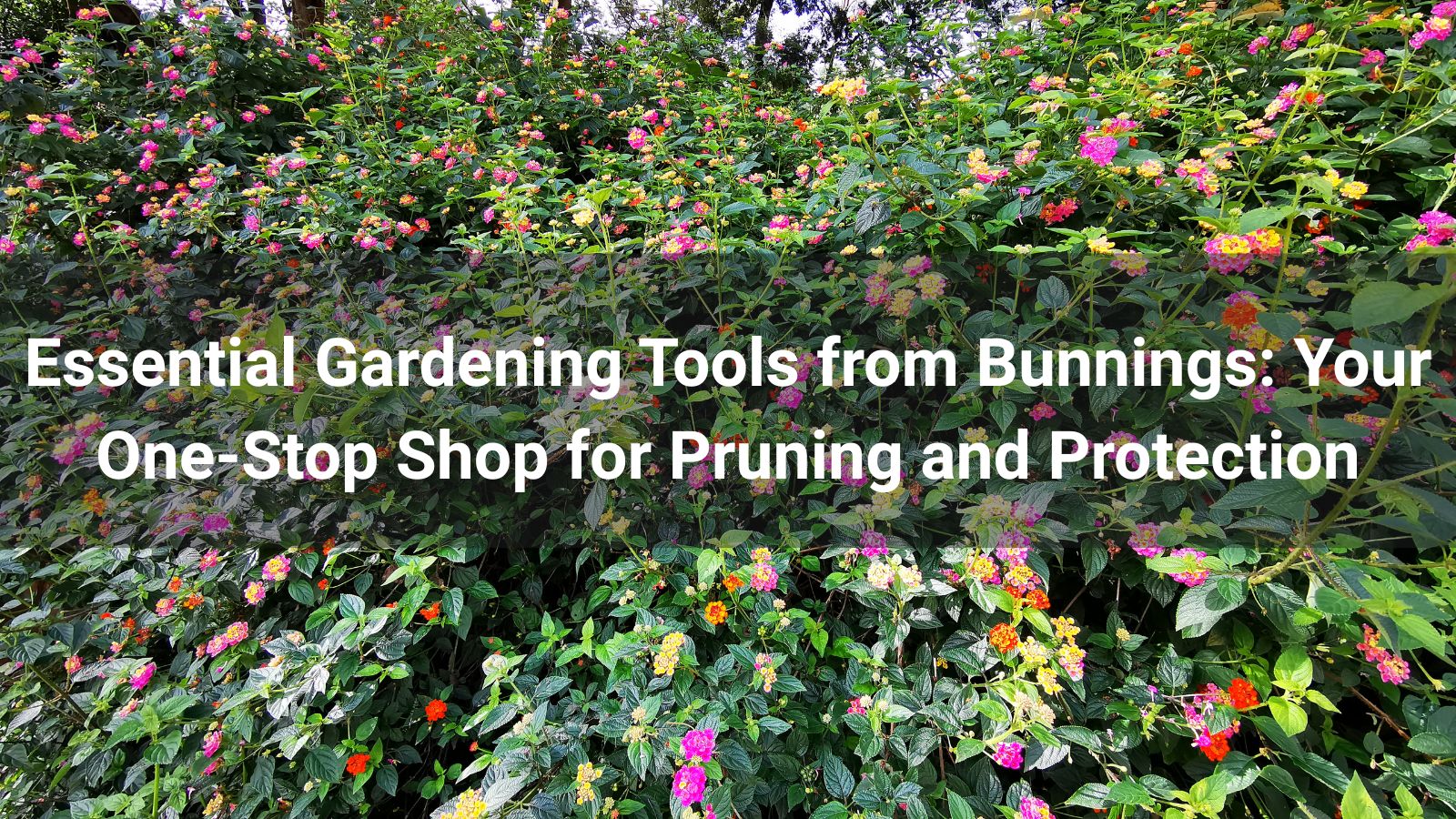 Essential Gardening Tools from Bunnings: Your One-Stop Shop for Pruning and Protection