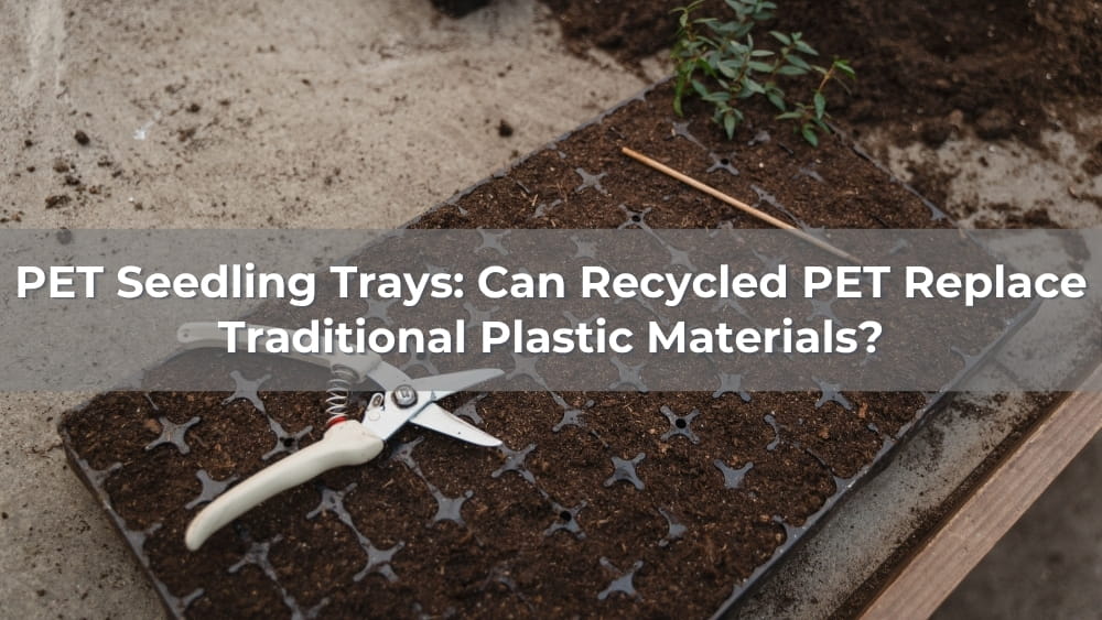 PET Seedling Trays: Can Recycled PET Replace Traditional Plastic Materials?