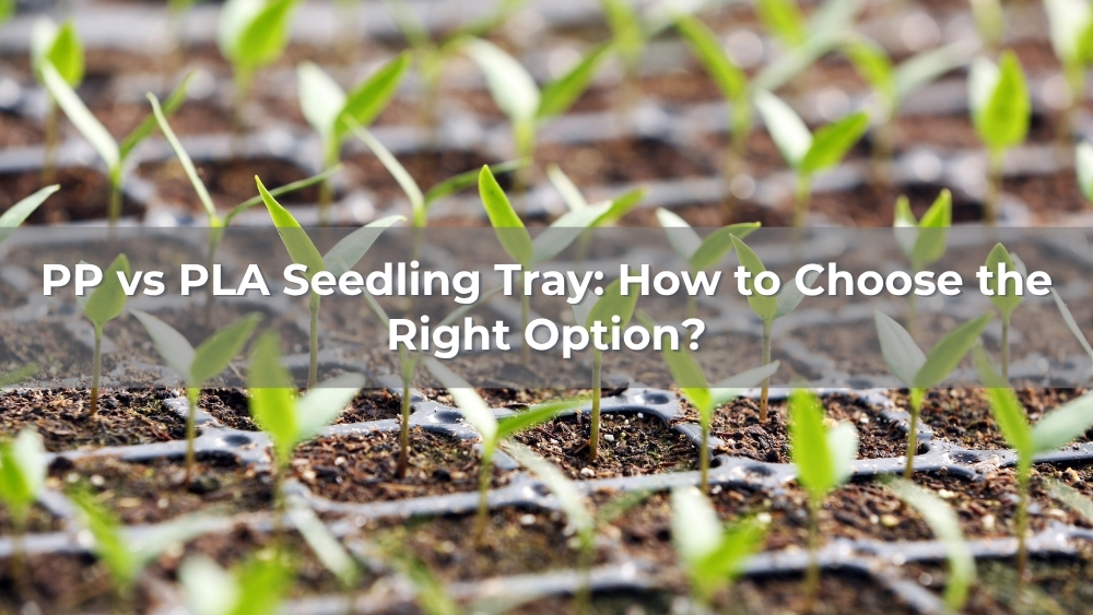 PP vs PLA Seedling Tray: How to Choose the Right Option?